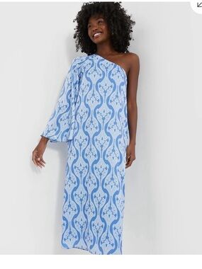 blue floral one shoulder sybil maxi dress hyacinth house Tuckernuck | Dresses | Blue Floral One Shoulder Sybil Maxi Dresshyacinth  House